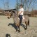 Boherbue Missy